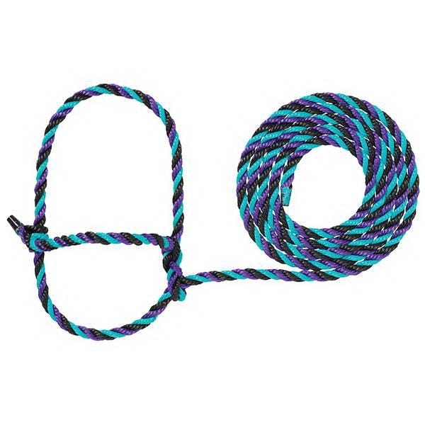 Weaver Leather Cattle Rope Halter, Black/Purple/Teal