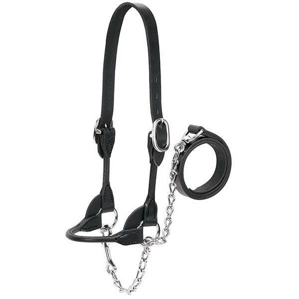 Weaver Leather Dairy/Beef Show Halter, S, Leather, Black