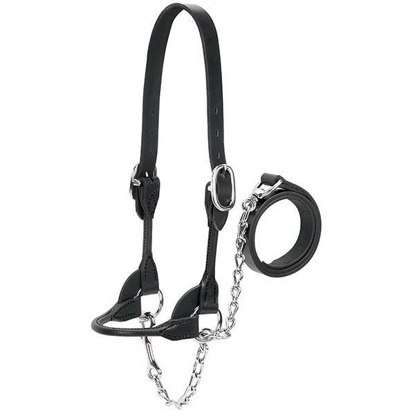 Weaver Leather Dairy/Beef Show Halter, L, Leather, Black
