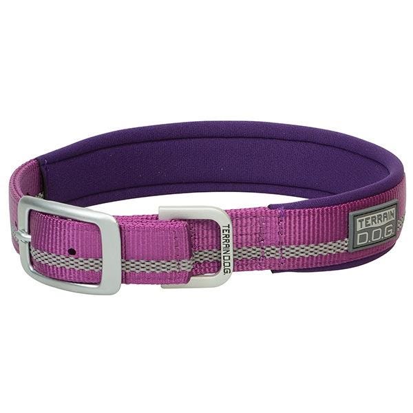 Terrain Dog Dog Collar, 21 in L Collar, 1 in W Collar, Nylon, Purple