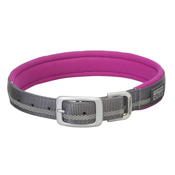 Terrain DogDog Collar, 23 in L Collar, 1 in W Collar, Nylon, Dark Gray/Orange