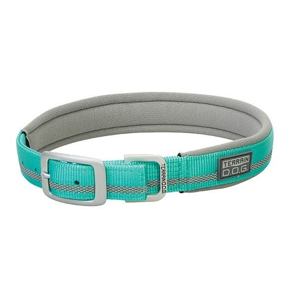 Terrain Dog Dog Collar, 23 in L Collar, 1 in W Collar, Nylon, Mint