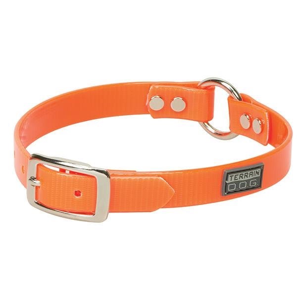 Terrain Dog Dog Collar, 19 in L Collar, 1 in W Collar, Brahma Webb, Blaze Orange