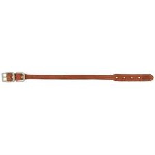 Terrain Dog Hybrid Dog Collar, 21 in L Collar, 1 in W Collar, Leather, Canyon Rose