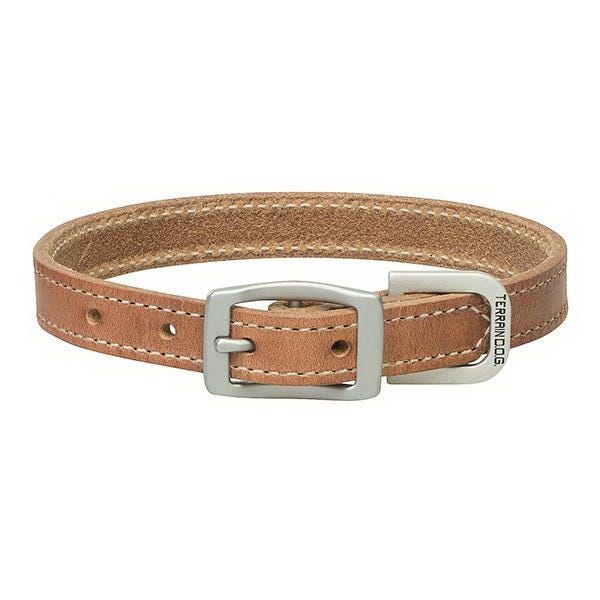 Terrain Dog Dog Collar, 17 in L Collar, 3/4 in W Collar, Leather, Russet
