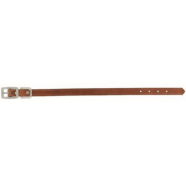 Terrain Dog Dog Collar, 23 in L Collar, 1 in W Collar, Leather, Russet