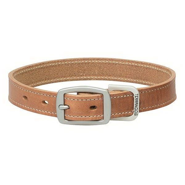 Terrain Dog Dog Collar, 19 in L Collar, 1 in W Collar, Leather, Russet
