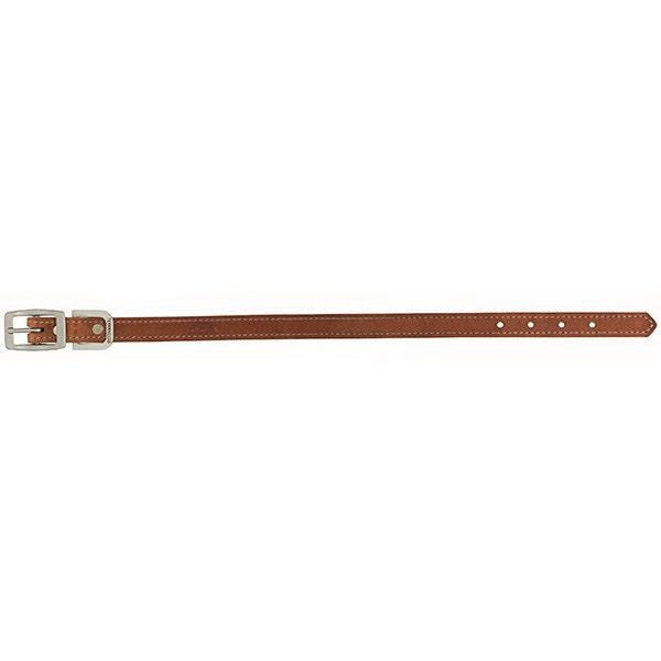 Terrain Dog Dog Collar, 21 in L Collar, 1 in W Collar, Leather, Russet