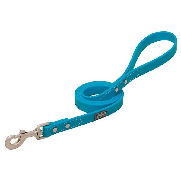 Terrain Dog Dog Leash, 4 ft L, 3/4 in W, Brahma Webb Line, Hurricane Blue