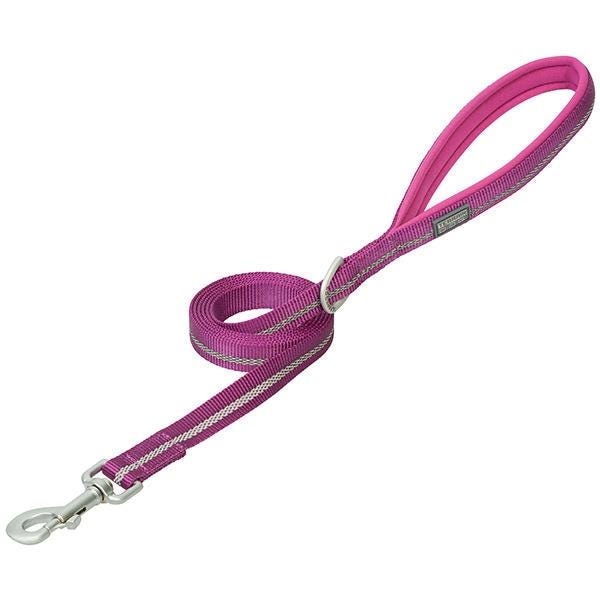 Terrain Dog Reflective Dog Leash, 4 ft L, 1 in W, Nylon Line, Purple