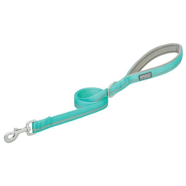 Terrain Dog Reflective Dog Leash, 4 ft L, 1 in W, Nylon Line, Mint