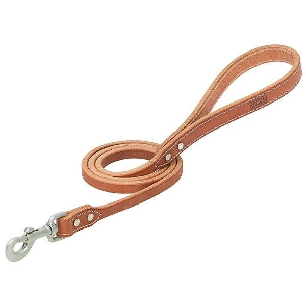 Terrain Dog Hybrid Dog Leash, 4 ft L, 3/4 in W, Leather Line, Russet Canyon Rose