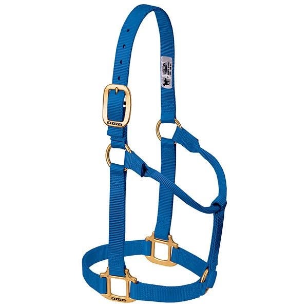 Weaver Leather Non-Adjustable Halter, Pony, Weanling, Nylon, Blue