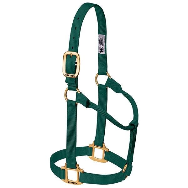 Weaver Leather Non-Adjustable Halter, Pony, Weanling, Nylon, Hunter Green