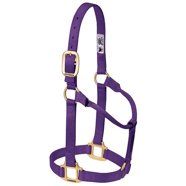 Weaver Leather Non-Adjustable Halter, Pony, Weanling, Nylon, Purple