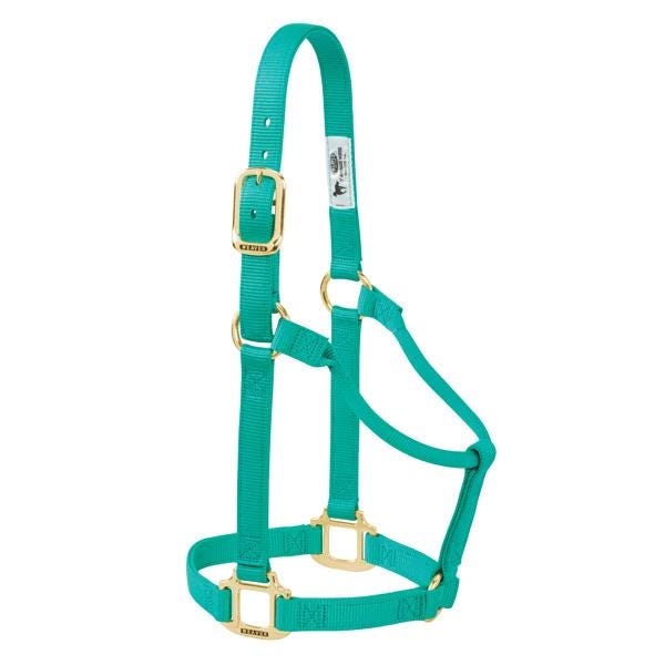 Weaver Leather Non-Adjustable Halter, S, Nylon, Emerald Green