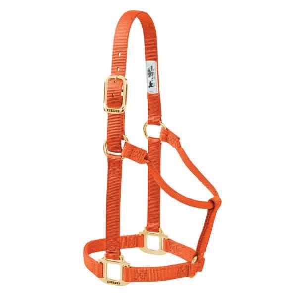 Weaver Leather Non-Adjustable Halter, L, Nylon, Orange