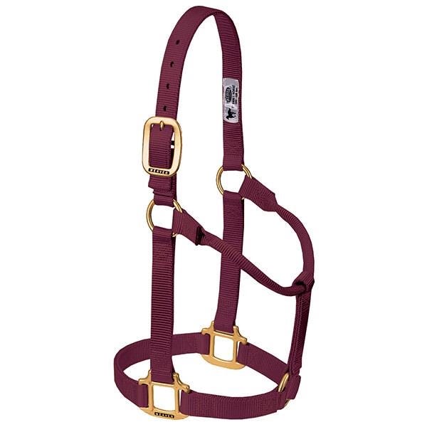 Weaver Leather Non-Adjustable Halter, S, Nylon, Burgundy