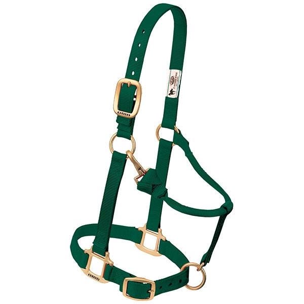 Weaver Leather Adjustable Halter, L, Nylon, Hunter Green