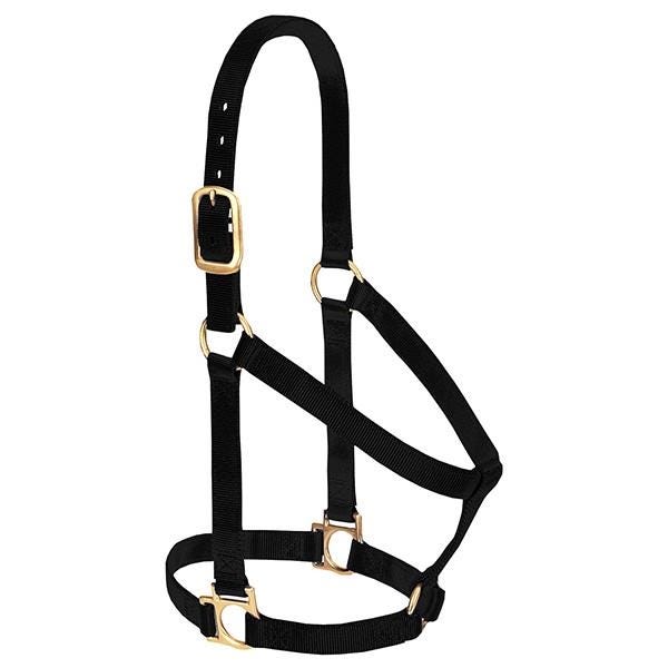 Weaver Leather Non-Adjustable Halter, Average, Nylon, Black - 835566