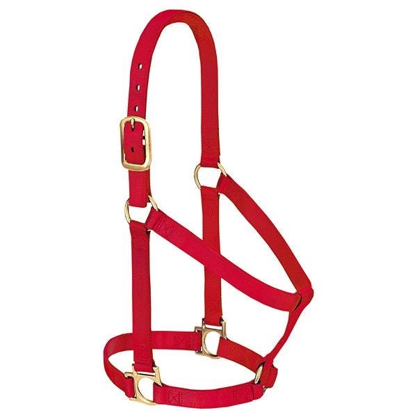 Weaver Leather Non-Adjustable Halter, Average, Nylon, Red - 835571