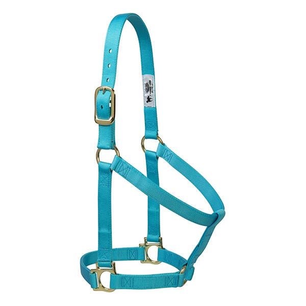 Weaver Leather Non-Adjustable Halter, Average, Nylon, Turquoise
