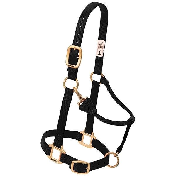 Weaver Leather Adjustable Halter, L, Nylon, Black