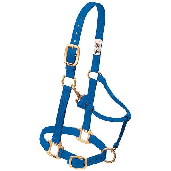 Weaver Leather Adjustable Halter, Pony, Weanling, Nylon, Blue