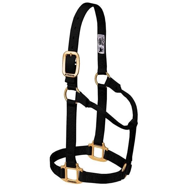 Weaver Leather Non-Adjustable Halter, L, Nylon, Black