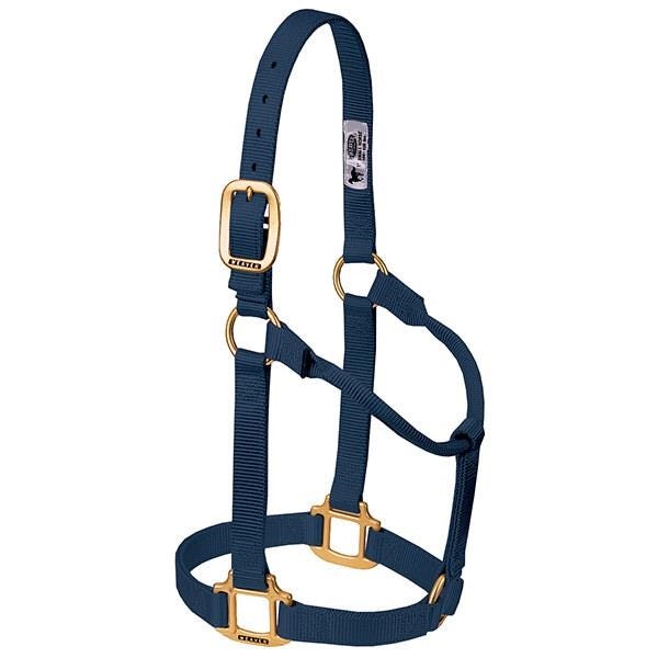 Weaver Leather Non-Adjustable Halter, Average, Nylon, Navy Blue