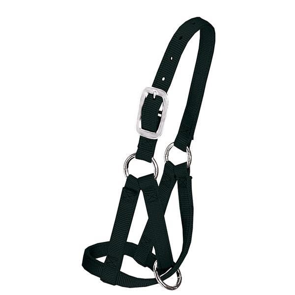Weaver Leather Llama Halter, M, L, Nylon, Black