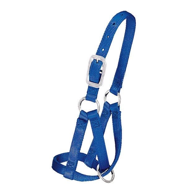 Weaver Leather Llama Halter, M, L, Nylon, Blue