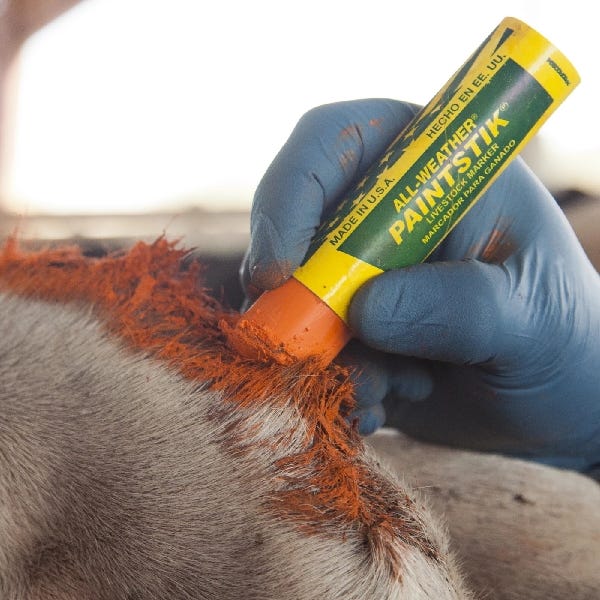 All-Weather PAINTSTIK 61022 Livestock Marker, Red