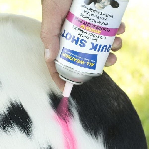 All-Weather Quik Shot 61116 Livestock Marker Paint, Fluorescent Green, 16 oz, Aerosol Can