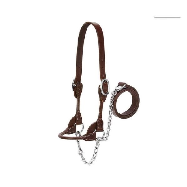 Weaver Leather Dairy/Beef Show Halter, M, Leather, Brown