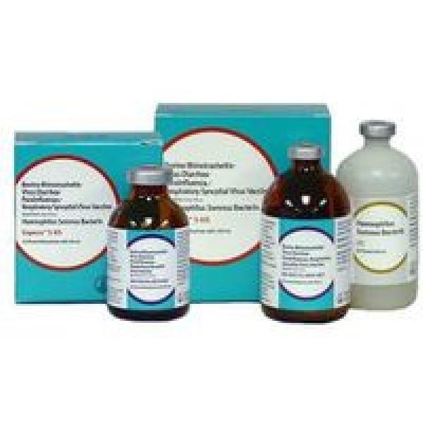 Boehringer Ingelheim EXPRESS 5-HS, Cattle Vaccine,10 ds.