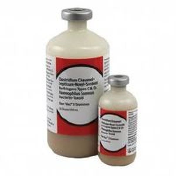 Boehringer Ingelheim Bar-Vac 7/Somnus, Cattle Vaccine, 50 ds.