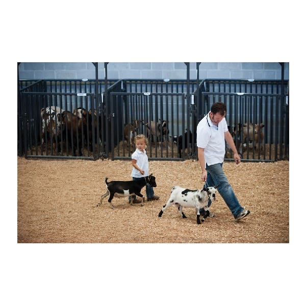 Priefert Sheep & Hog Panel, 4 ft