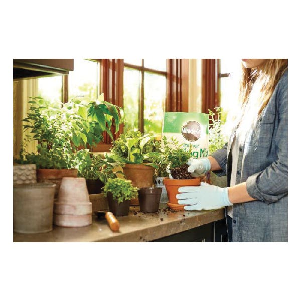 Miracle-Gro Indoor Potting Soil Mix, 4 to 6 in Coverage Area, 6 qt