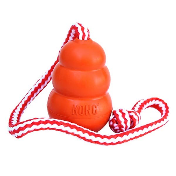 Kong Dog Toy, L, Retrieve, Aqua, Foam, Orange