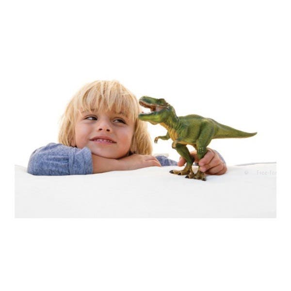 Schleich-S Figurine, Tyrannosaurus Rex, Plastic