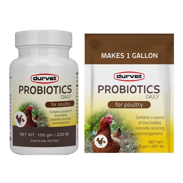 Durvet Probiotic Poultry Supplement, 100 g Jar