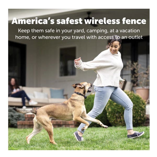 PetSafe Dog Fence, Battery, 44 to 210 ft Control