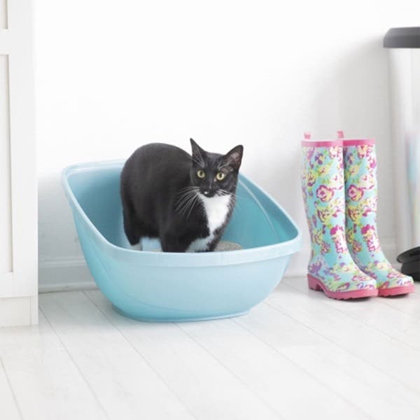 Petmate 42093 Litter Pan, 15 in W, 19-1/4 in D, Plastic, Blue Steel