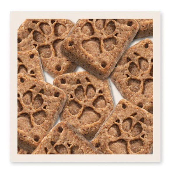 Blue Wilderness Trail Treats Dog Biscuit, Salmon, 10 oz