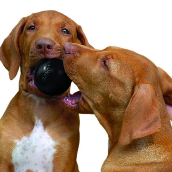 Kong Dog Toy, L/M, Interactive, Rubber, Black