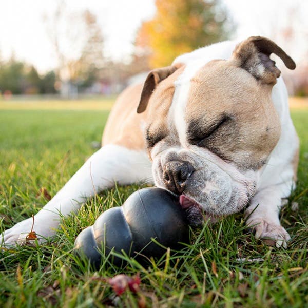 Kong Extreme Dog Toy, XL, Rubber, Black