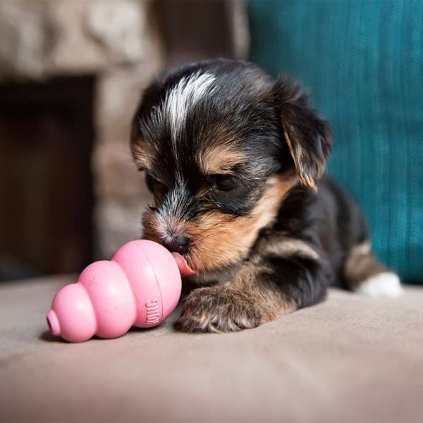 Kong Dog Toy, S, Rubber, Assorted