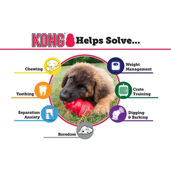 Kong Dog Toy, S, Rubber, Assorted