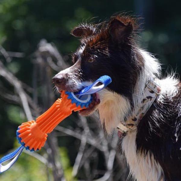 Chuckit! Dog Toy, M, Polypropylene, Blue/Orange
